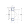 Guolis 7308 BE-2RZP/GWF
