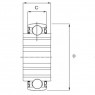 Guolis GW 208 PPB22 (31.75X80X36.513 šeš.sk.)