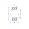 Guolis 3204 A-2ZTN9/WT