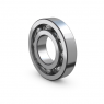 Guolis 6004/22 BC2G15
