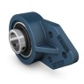 Guolio mazgas UCFB 206/H