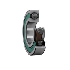 Guolis 6012-2RZ/HC5C3WT