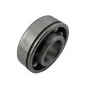 Guolis B25-163D (25X60X27/19)