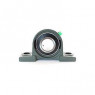 Guolio mazgas UCP 316