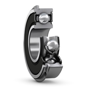 Guolis 6004-2RSHNR