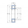 Guolis N 306 ECP