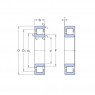 Guolis NJ 211 ECJ/C3 (55X100X21)