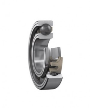 Guolis 6200-2RSLTN9/HC5C3WT
