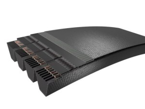 Diržas PHG SPB5000X3