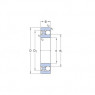 Guolis 2212 EKTN9/C3
